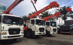 Dịch vụ xe cẩu, xe đào giá rẻ tại Quy Nhơn